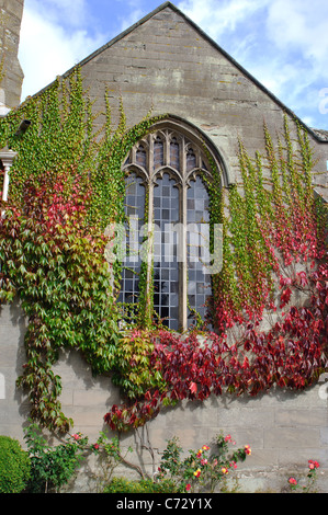 Virginia Creeper growing on St. Peter`s Church, Barford, Warwickshire, England, UK Stock Photo